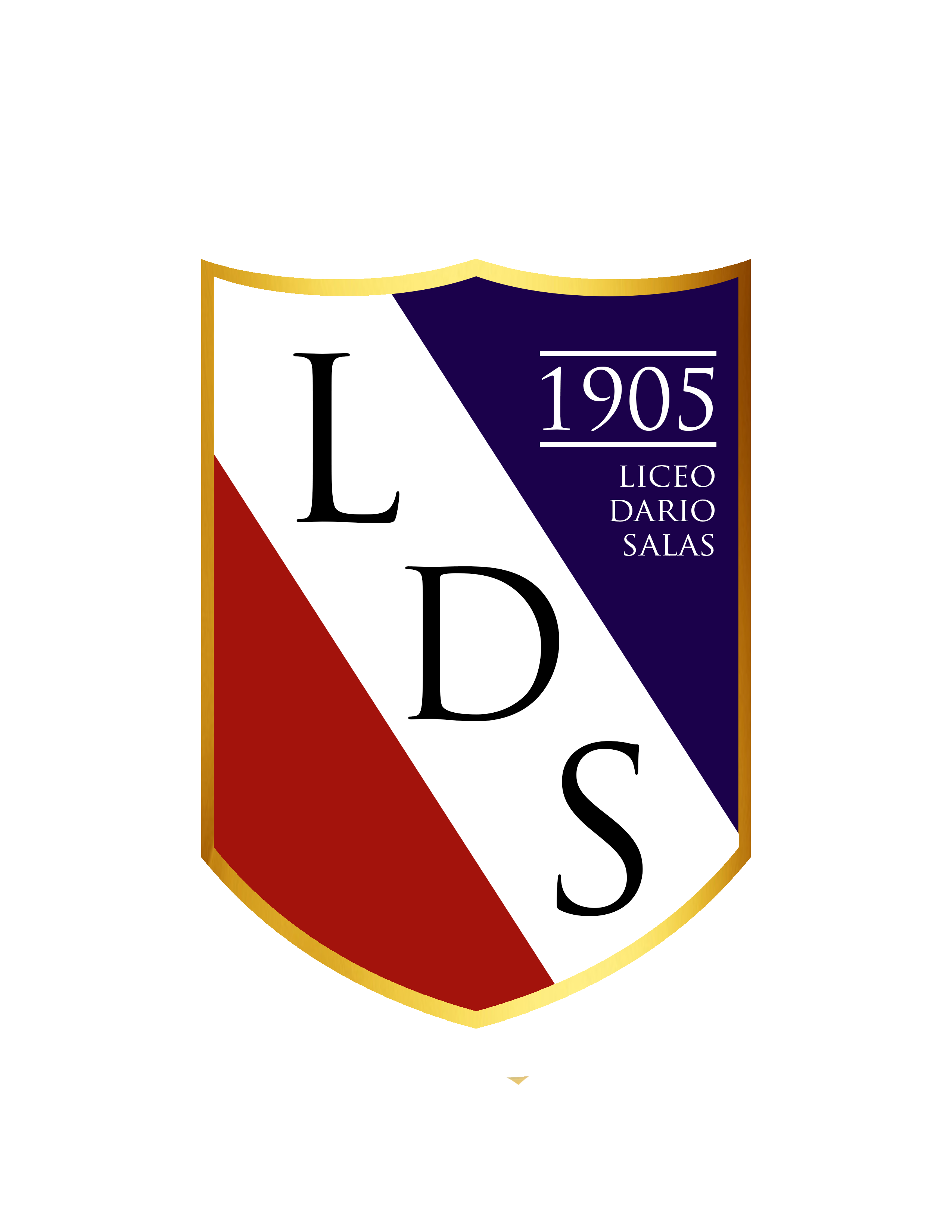 Liceo Darío Salas Santa María – LDS
